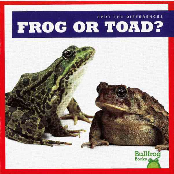 牛蛙 A 33 Frog or Toad -- 绘本听读宝在线台词全文