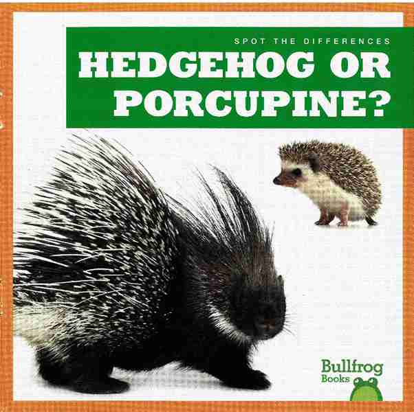 牛蛙 A 34 Hedgehog or Porcupine -- 绘本听读宝在线台词全文