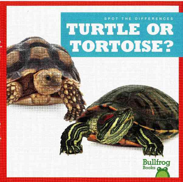 牛蛙 A 35 Turtle or Tortoise -- 绘本听读宝在线台词全文