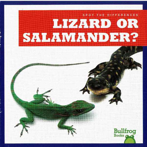 牛蛙 A 36 Lizard or Salamander -- 绘本听读宝在线台词全文