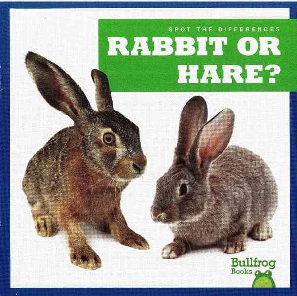 牛蛙 A 38 Rabbit or Hare -- 绘本听读宝在线台词全文