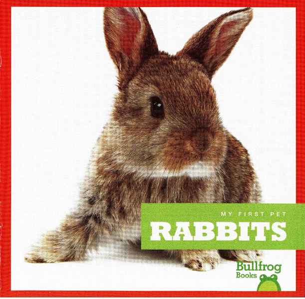 牛蛙 A 4 Rabbits -- 绘本听读宝在线台词全文