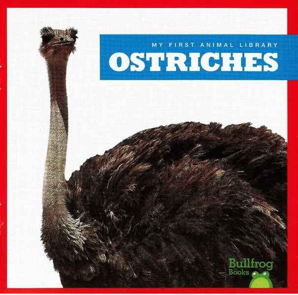 牛蛙 A 7 Ostriches -- 绘本听读宝在线台词全文