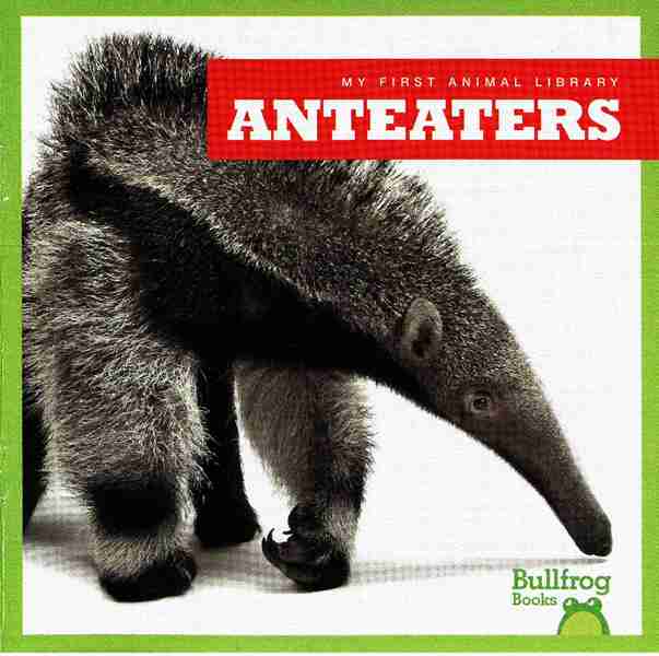 牛蛙 A 9 Anteaters -- 绘本听读宝在线台词全文