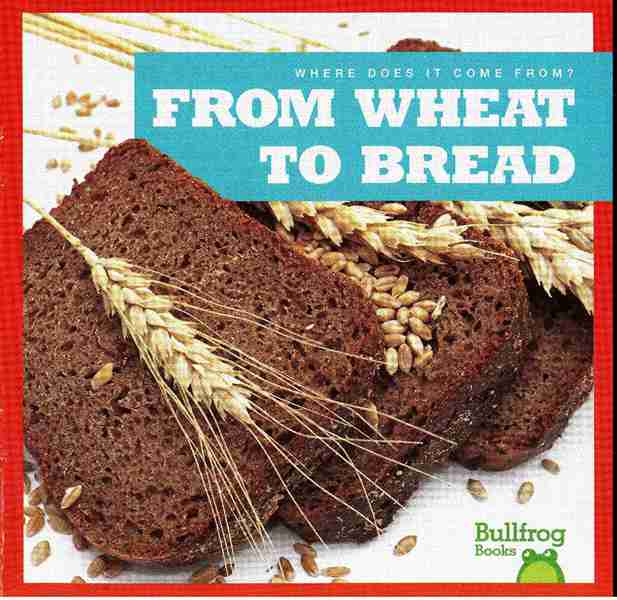 牛蛙 B 24 From Wheat to Bread -- 绘本听读宝在线台词全文