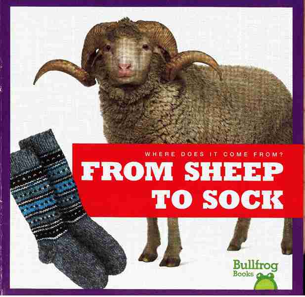 牛蛙 B 28 From Sheep to Sock -- 绘本听读宝在线台词全文