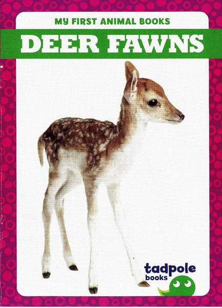 蝌蚪 10 Deer Fawns -- 绘本听读宝在线台词全文
