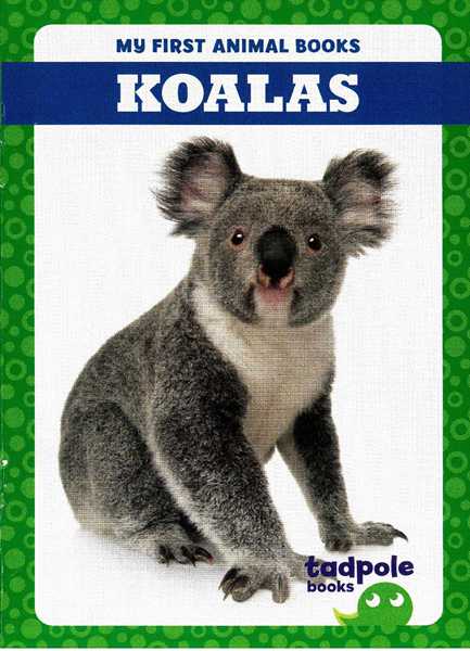 蝌蚪 11 Koalas -- 绘本听读宝在线台词全文