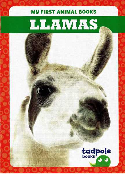 蝌蚪 12 Llamas -- 绘本听读宝在线台词全文