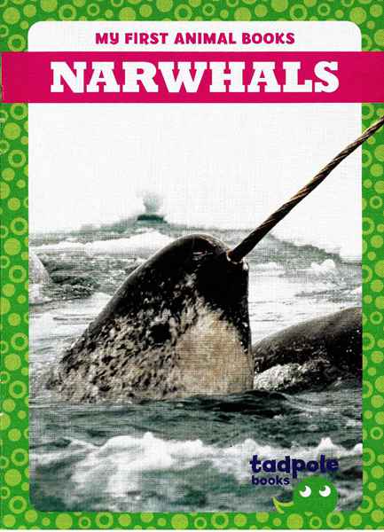 蝌蚪 13 Narwhals -- 绘本听读宝在线台词全文