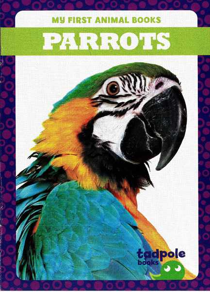 蝌蚪 15 Parrots -- 绘本听读宝在线台词全文