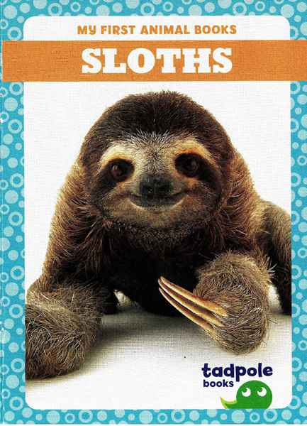 蝌蚪 16 Sloths -- 绘本听读宝在线台词全文