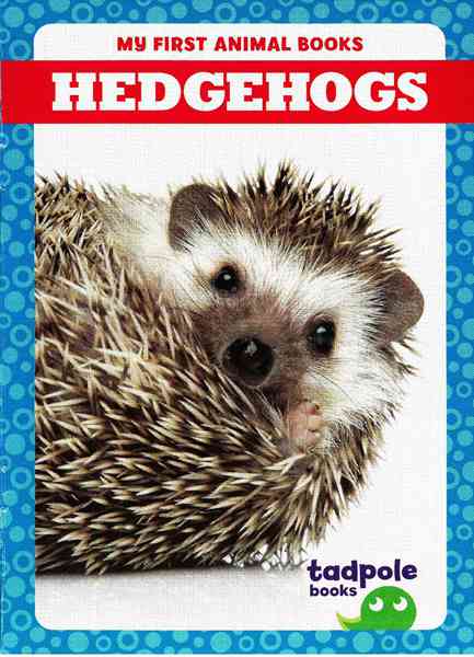 蝌蚪 17 Hedgehog -- 绘本听读宝在线台词全文
