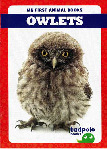 蝌蚪 18 Owlets -- 绘本听读宝在线台词全文