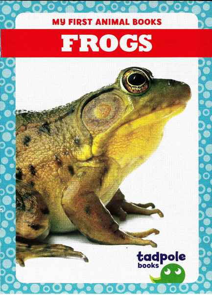 蝌蚪 19 Frogs -- 绘本听读宝在线台词全文