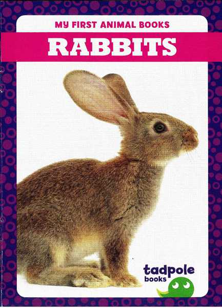 蝌蚪 20 Rabbits -- 绘本听读宝在线台词全文