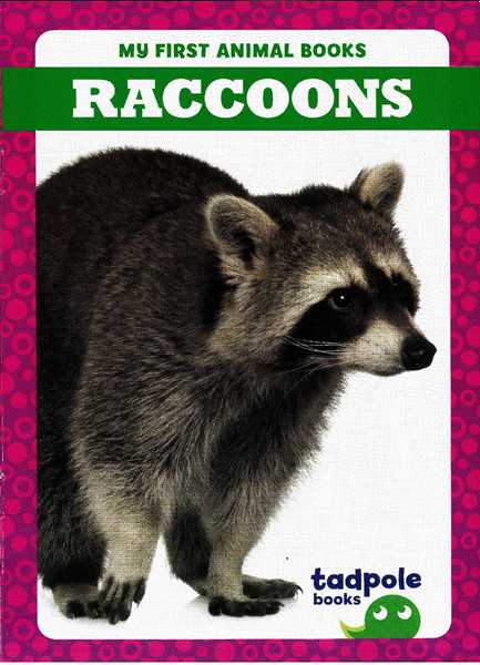 蝌蚪 21 Raccoons -- 绘本听读宝在线台词全文