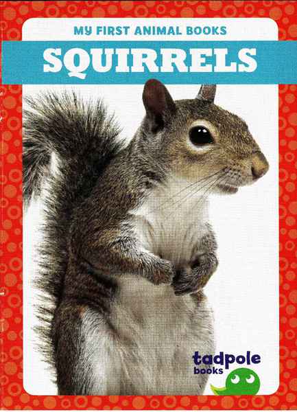 蝌蚪 22 Squirrels -- 绘本听读宝在线台词全文