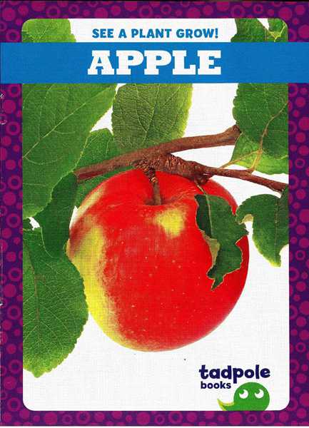 蝌蚪 23 Apples -- 绘本听读宝在线台词全文