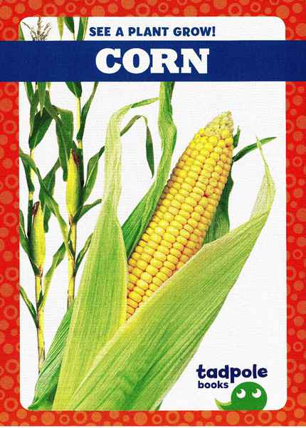 蝌蚪 25 Corn -- 绘本听读宝在线台词全文