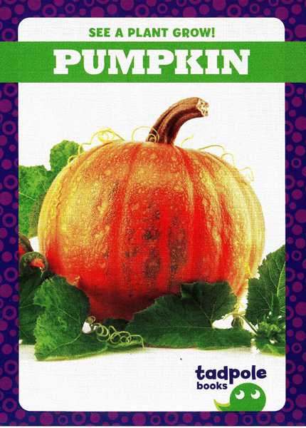 蝌蚪 27 Pumpkin -- 绘本听读宝在线台词全文