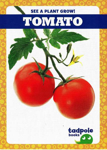 蝌蚪 29 Tomato -- 绘本听读宝在线台词全文