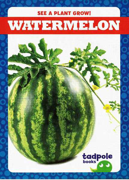 蝌蚪 30 Watermelon -- 绘本听读宝在线台词全文