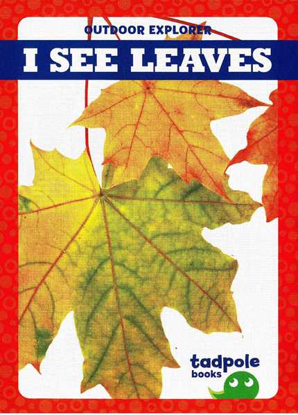 蝌蚪 33 I See Leaves -- 绘本听读宝在线台词全文