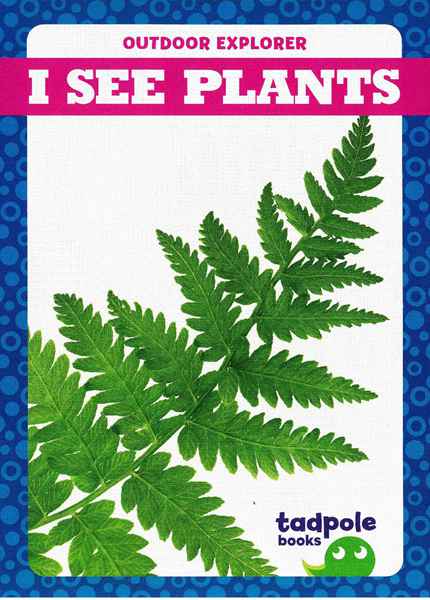 蝌蚪 34 I See Plants -- 绘本听读宝在线台词全文