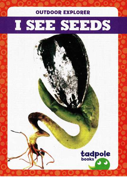 蝌蚪 36 I See Seeds -- 绘本听读宝在线台词全文