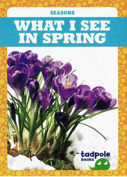 蝌蚪 38 What I See in Spring -- 绘本听读宝在线台词全文