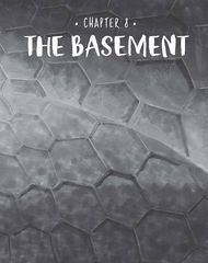 14 They're Bee-Hind You 8 The Basement -- 绘本听读宝在线台词全文