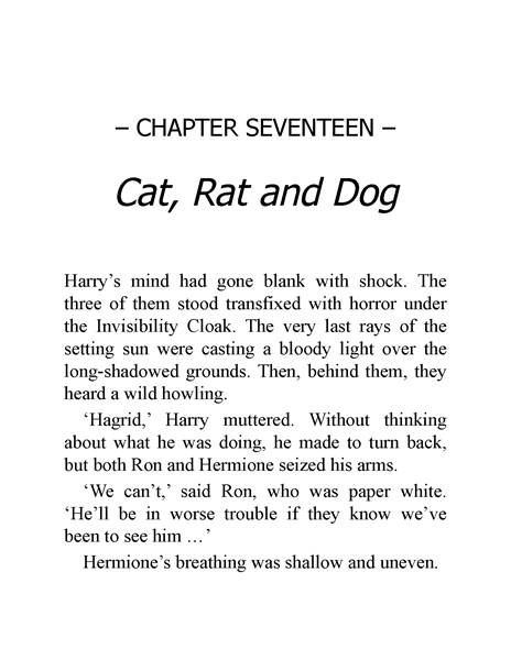 03 Harry Potter and the Prisoner of Azkaban 17 Cat, Rat, and Dog -- 绘本听读宝在线台词全文