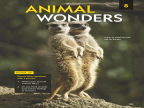 Reading Explorer 第三版 F Foundations Reading 8A -- 绘本听读宝在线台词全文