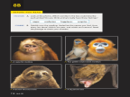 Reading Explorer 第三版 F Foundations Reading 8B -- 绘本听读宝在线台词全文