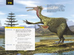 Reading Explorer 第三版 L1 Level 1 Reading 7B -- 绘本听读宝在线台词全文