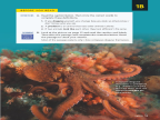 Reading Explorer 第三版 L1 Level 1 Reading 1B -- 绘本听读宝在线台词全文