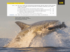 Reading Explorer 第三版 L2 Level 2 Reading 6B -- 绘本听读宝在线台词全文