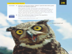 Reading Explorer 第三版 L2 Level 2 Reading 2B -- 绘本听读宝在线台词全文