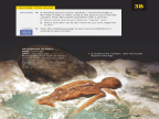Reading Explorer 第三版 L2 Level 2 Reading 3B -- 绘本听读宝在线台词全文