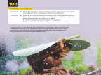 Reading Explorer 第三版 L3 Level 3 Reading 10B -- 绘本听读宝在线台词全文