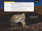 Reading Explorer 第三版 L3 Level 3 Reading 3B -- 绘本听读宝在线台词全文