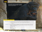Reading Explorer 第三版 L5 Level 5 Reading 6B -- 绘本听读宝在线台词全文
