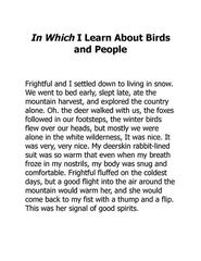 1 My Side of the Mountain 17 I Learn About Birds and People -- 绘本听读宝在线台词全文