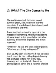1 My Side of the Mountain 21 The City Comes to Me -- 绘本听读宝在线台词全文