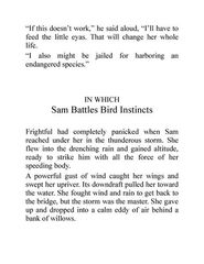 3 Frightful's Mountain 14 Sam Battles Bird Instincts -- 绘本听读宝在线台词全文
