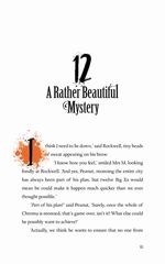 2 Peanut Jones and the Twelve Portals 12 A Rather Beautiful Mystery -- 绘本听读宝在线台词全文