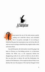 2 Peanut Jones and the Twelve Portals 6 A Surprise -- 绘本听读宝在线台词全文
