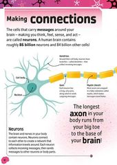 THE Brain Book Part 2 -- 绘本听读宝在线台词全文